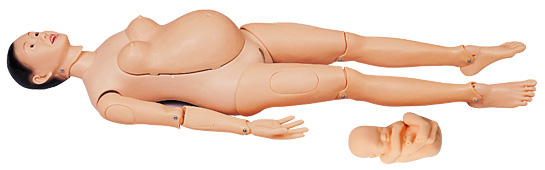 Model doll for delivery (with heartbeat fetus)