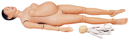 Model doll for delivery (with leather fetus)