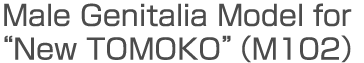 Male Genitalia Model for "New TOMOKO"（M102）