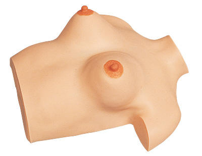 Mamma Simulator (Breast Massage simulator)