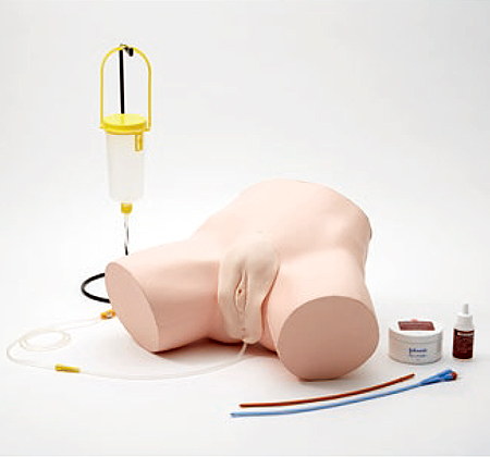 Transparent Female Catheter Model